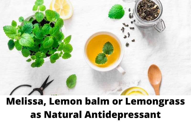 Melissa, Lemon balm or Lemongrass as Natural Antidepressants