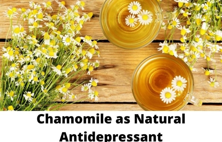 Calm Down Naturally With These Natural Antidepressants My Life With