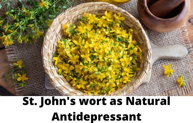 St. John’s wort as Natural Antidepressant