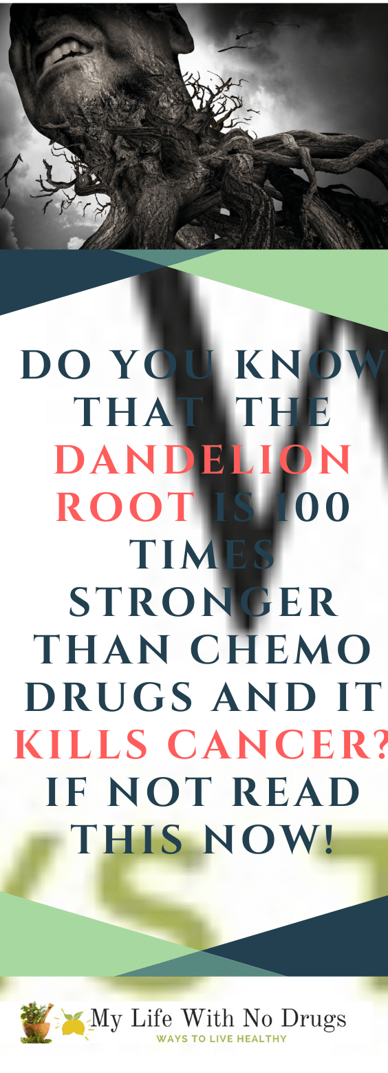dandelion root tea
