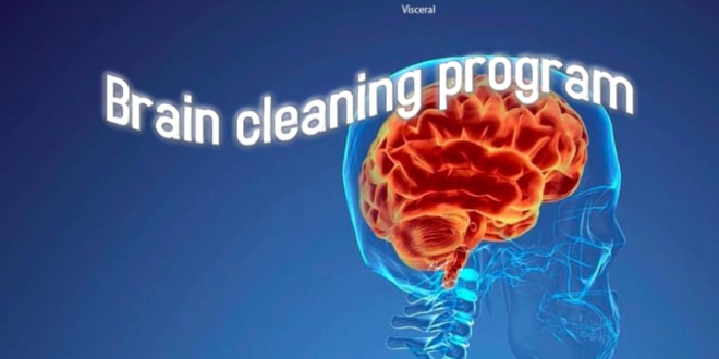Brain cleaning program