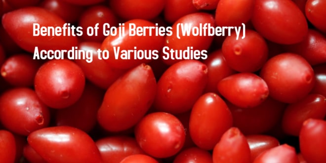 Benefits of Goji Berries