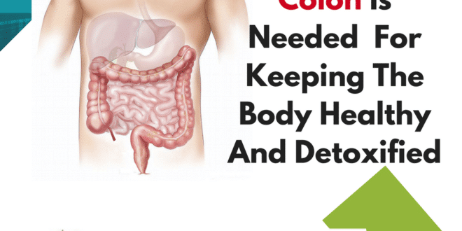 Picture with colon and text A Healthy Colon Is Needed  For Keeping The Body Healthy And Detoxified