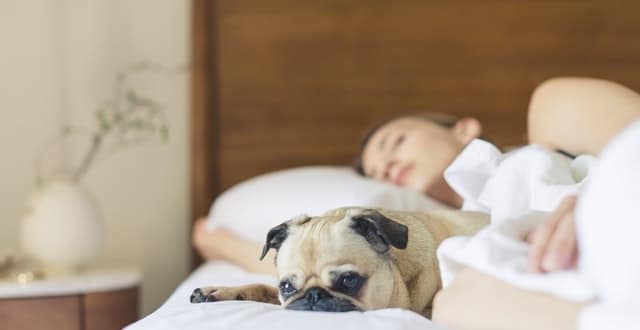 How Naps Affect Your Brain and Why You Should Have One Every Day