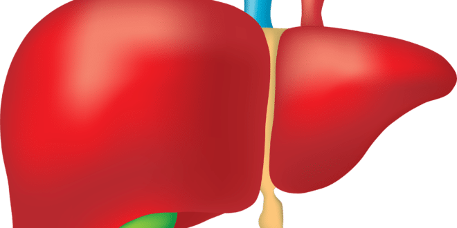 flush toxins from the liver