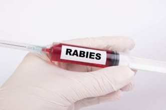 Rabies 