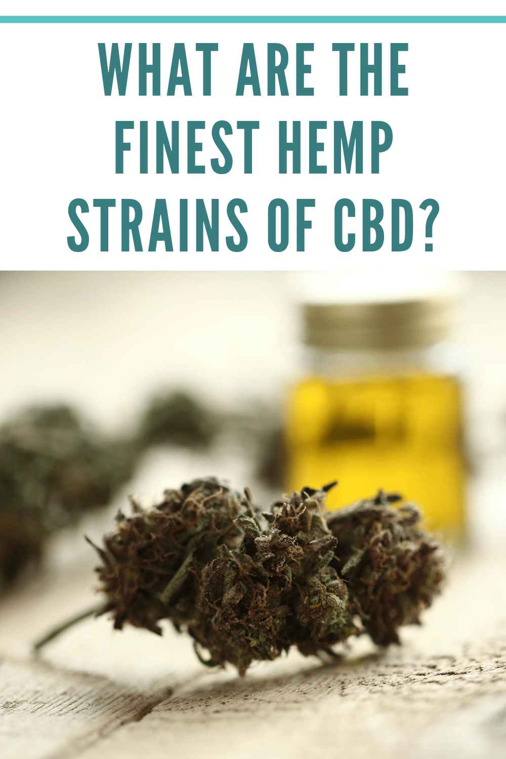 What Are The Finest Hemp Strains Of CBD?